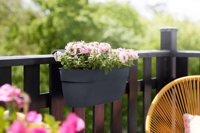 vibia campana easy hanger large anthracite